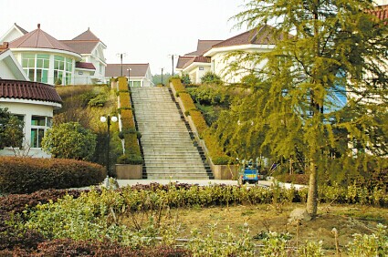 天津国际老年（公寓）休养中心建设项目可行性研究报告案例